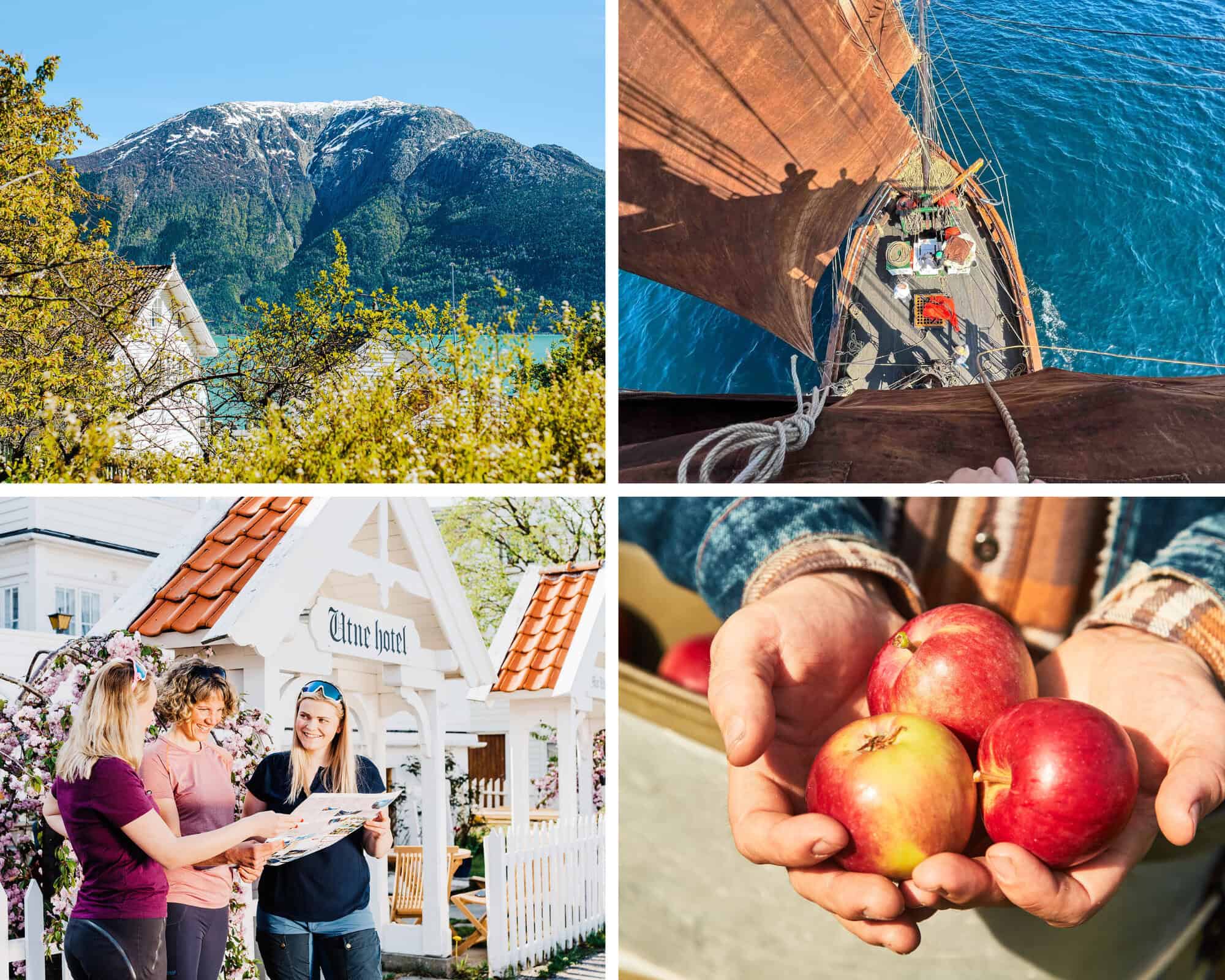 seilbåt charterbåt